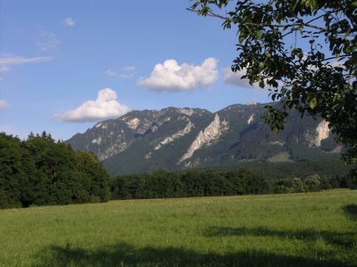 G�stehaus Scheil Apartments