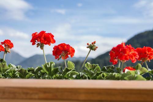 Hostal Elisabeth Serfaus