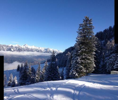 Hotel Gasthaus Sch�fle