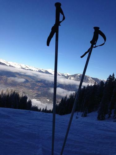 Hotel Gasthaus Sch�fle