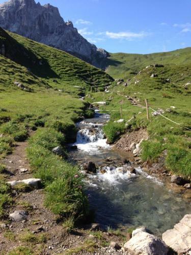 Hotel Gasthaus Sch�fle