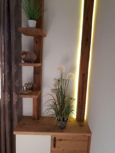 Hostal Pension Tannhof