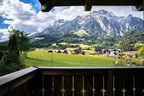 Steinberghaus Apartments