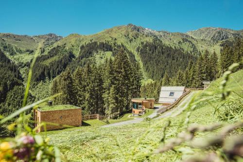 Hotel Almhof Roswitha