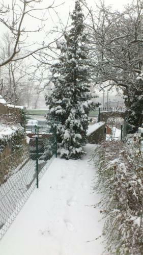 Apartamento Vienna Cottage