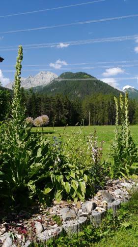 Apartamento Bucherhof