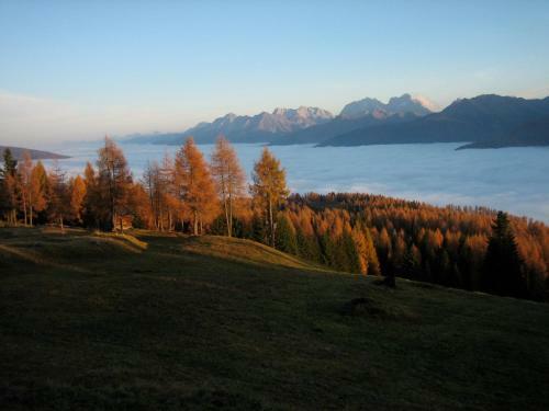 Apartamento Bauernhof Im Wiesengrund