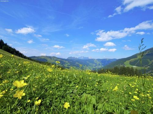 Holiday Home Chalet Hinterlengau 2