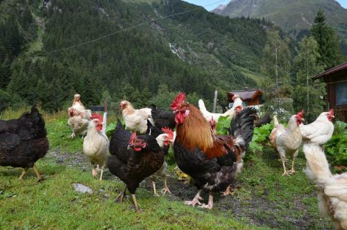 Apartamento Appartementhaus Naturquell