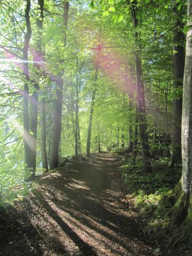 Agroturismo Bauernhof Unterh�fner