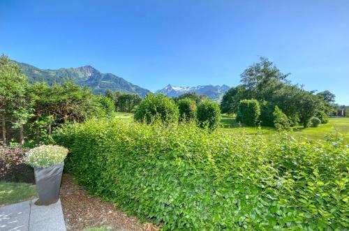 Apartment Golf & Glacier View By Alpen Apartments