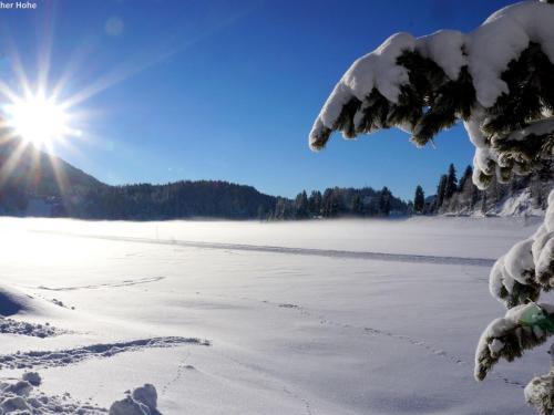 Chalet Alpenpark Turracherh�he 2