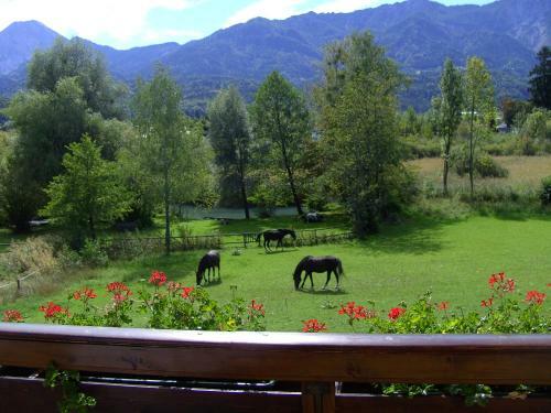 Apartamento Ferienhaus Sonnh�gel - Stissen