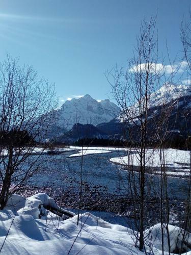 Apart-alpin