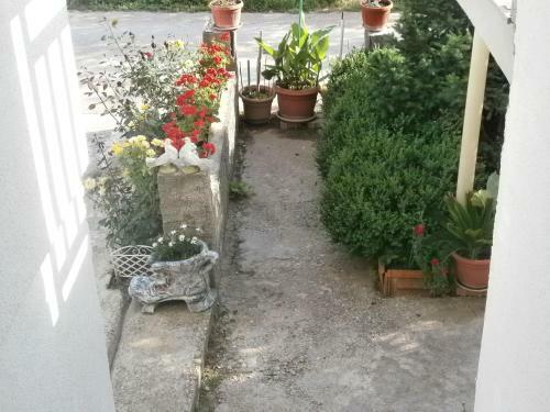 Hostal Villa Ana