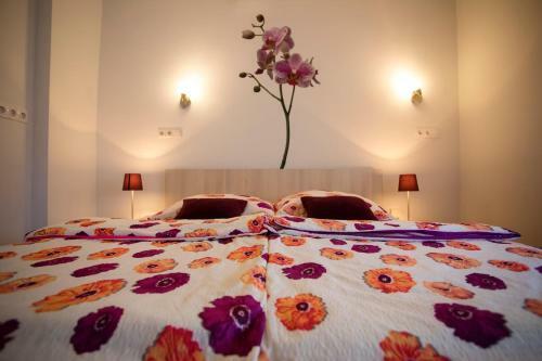 Hostal Pansion Infinity