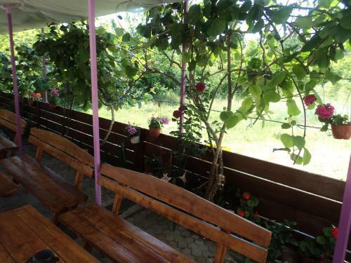 Bed & Breakfast Rooms Modana