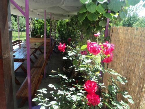 Bed & Breakfast Rooms Modana