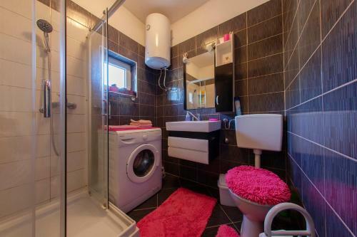 Apartment Cernica