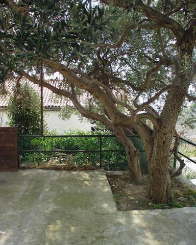 Apartamentos Studio Baska Voda 300c