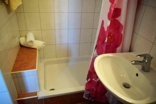Apartment Ivan
