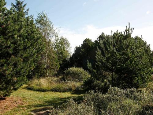 Three-bedroom Holiday Home In Fjerritslev 1