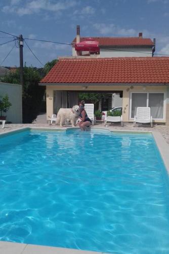 Apartment Supetarska Draga - Donja 2019c