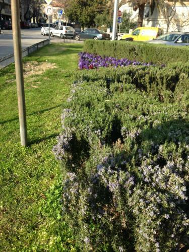 Lidija Beach Apartment