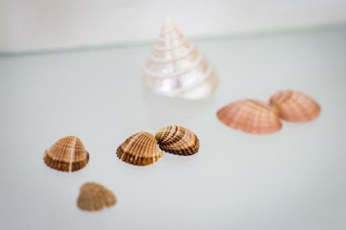 Apartamento Dolce Vita Old Town Studio
