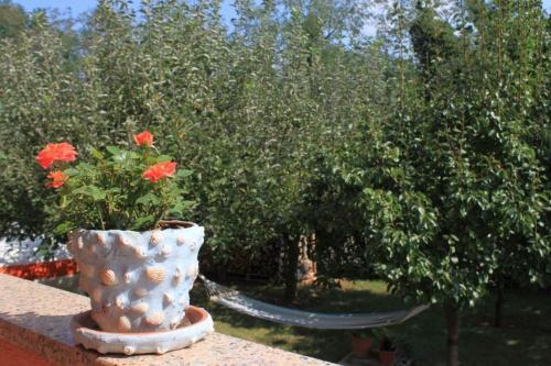 Apartment Umag 7062b