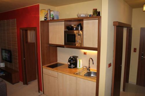 Apartment Luxus Tatry E106