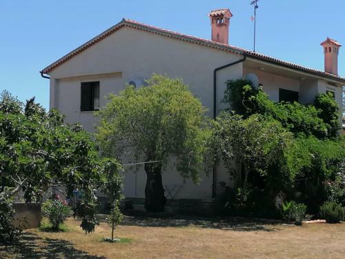 Apartment Mendula