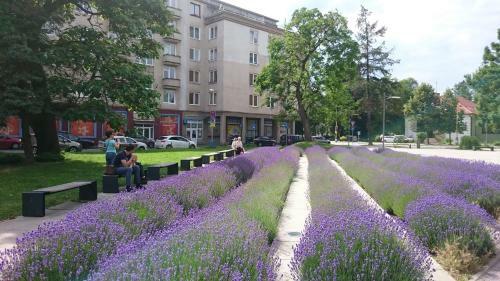 Apartment Letn� 2