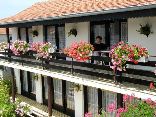 Bed & Breakfast Rooms Vila Mautner