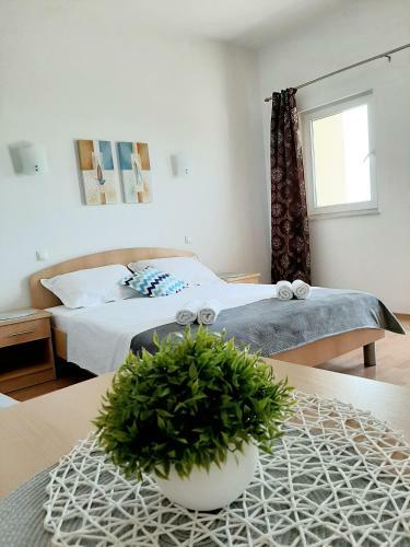 Apartments Akmadzic