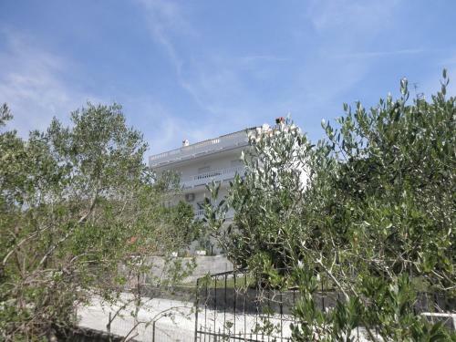 Apartments Ivana