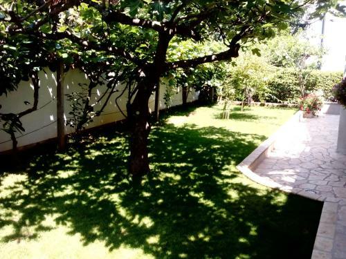 Apartments Pelo?a