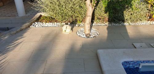 Apartamentos Villa Vista