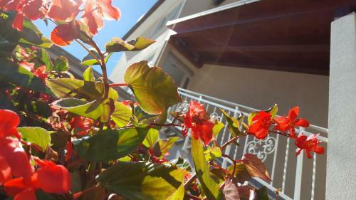 Nevija B&B