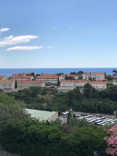 Apartamentos Studio Anga