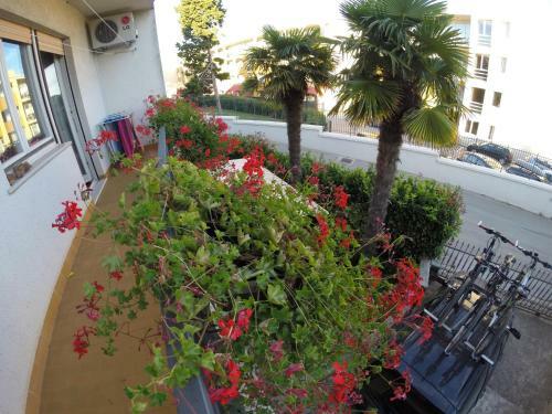 Apartamentos House Helena