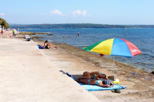 Apartment Novigrad 7335b