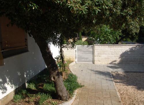 Green Paradise Apartment Novalja