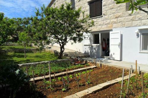Apartment Povlja 715a