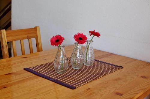 Apartment Bibinje 4197b