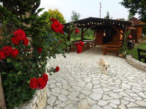 Hostal Apartments And Rooms Kristina