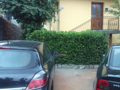 Apartment Camelia