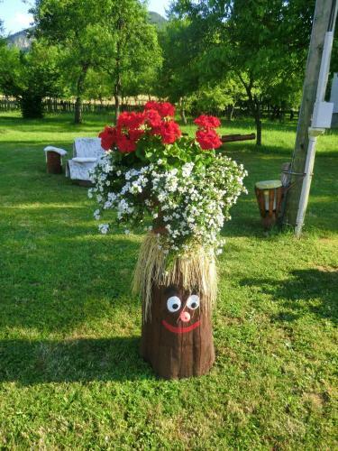 Hostal Pansion Izvor