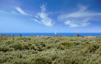 Apartamento Olive Coast Suites