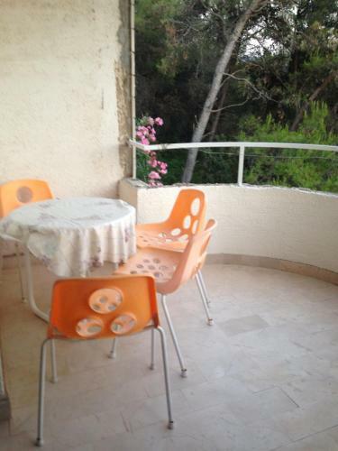 Hostal Guest House Alek